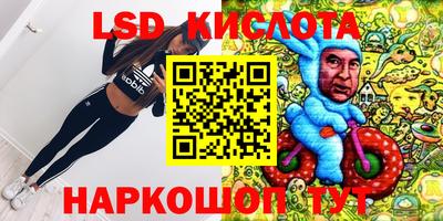 прущие грибы Краснокаменск
