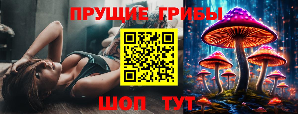 Сокол  Псилоцибиновые грибы мицелий  Вход с VPN 