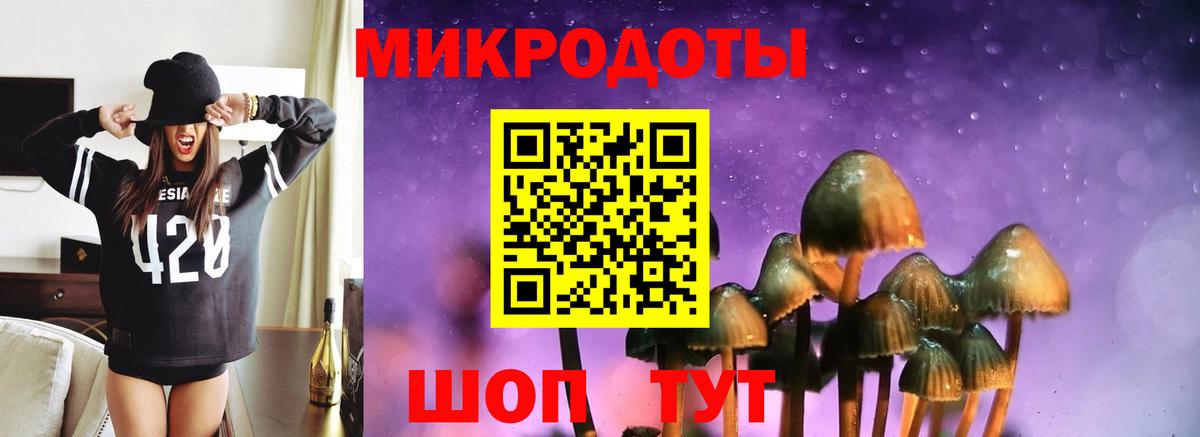 Галлюциногенные грибы Cubensis Сокол